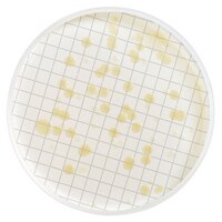 Milliflex Cassette Prefilled With Heterotrophic Plate Count Agar Mxsmhpc48